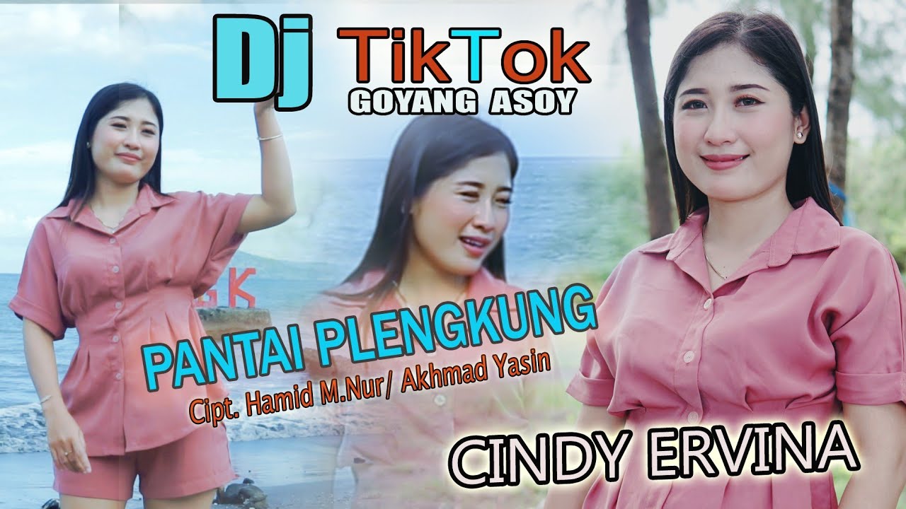 DJ PANTAI PLENGKUNG - CINDY ERVINA I DJ Remix Duth Full Bass 2025 ( Official Music Video )