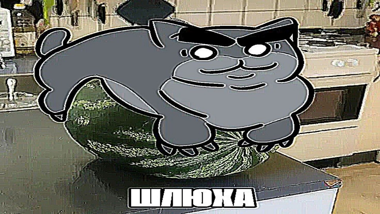 Mewgenics вне контекста