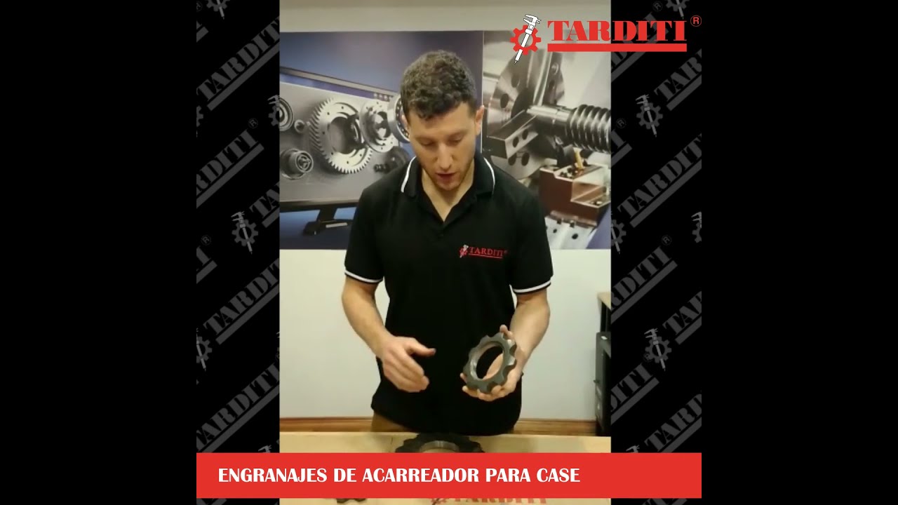 ENGRANAJES DE ACARREADOR