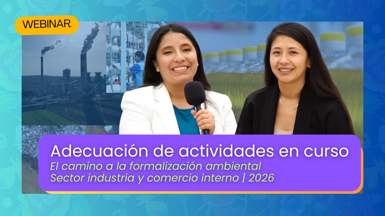 Adecuación de actividades en curso I Industria y comercio interno