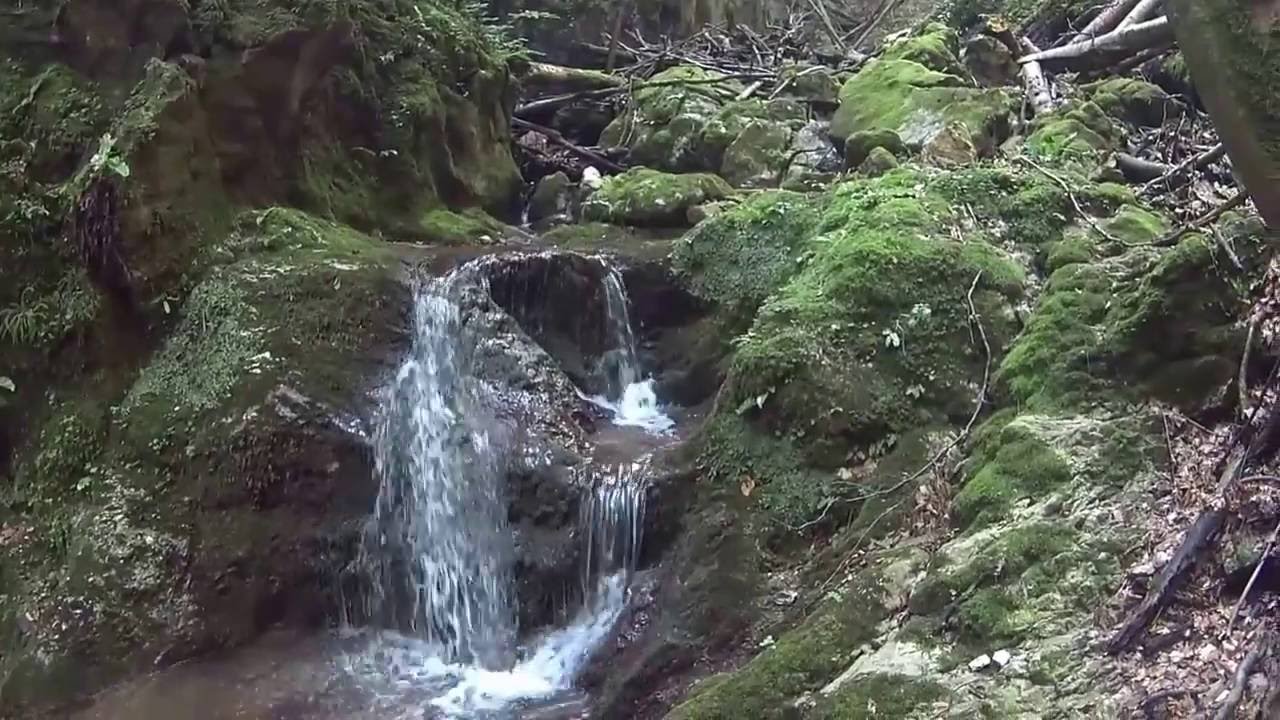 Bihar hegys&eacute;g, Boga, titkos t&uacute;ra 1/2