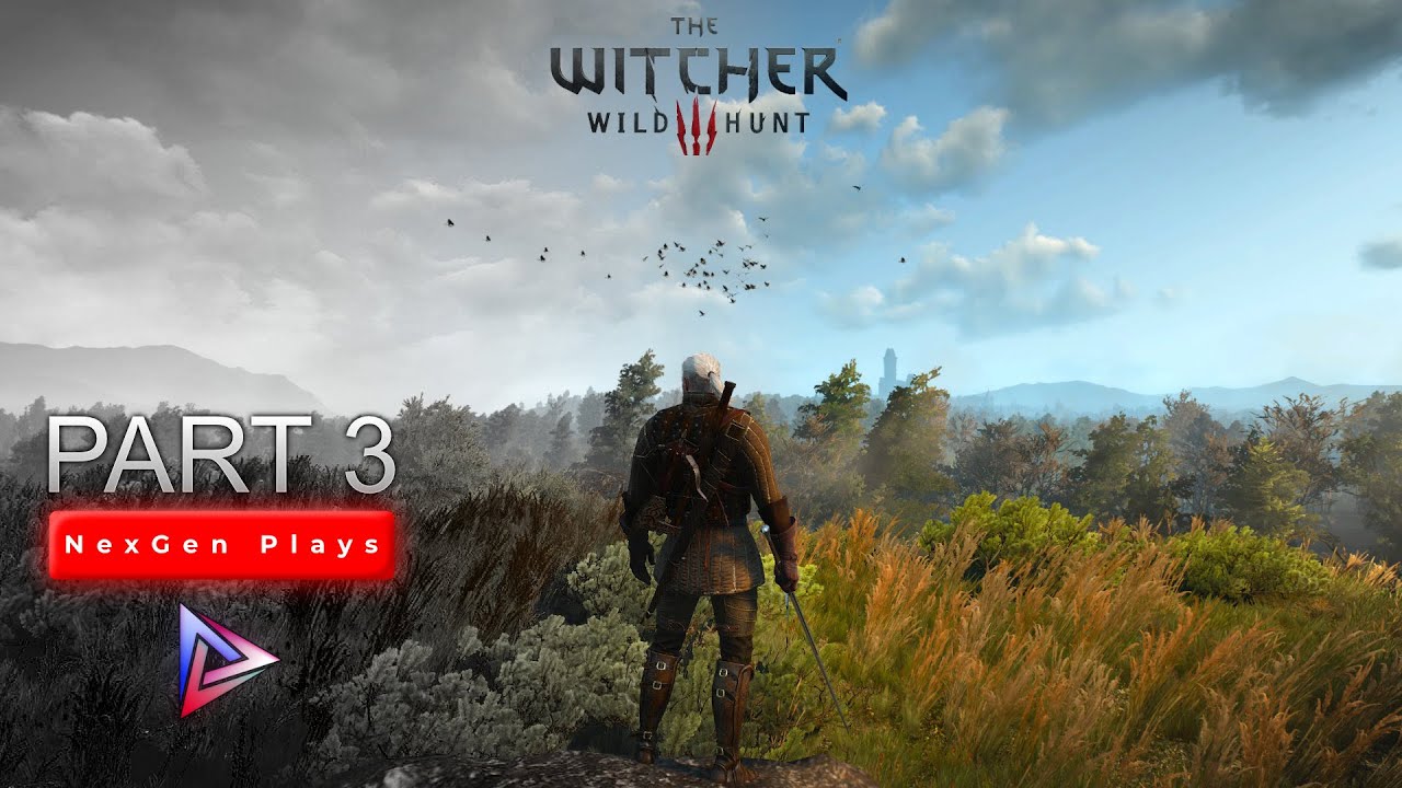 Witcher 3 Velen side quest begins