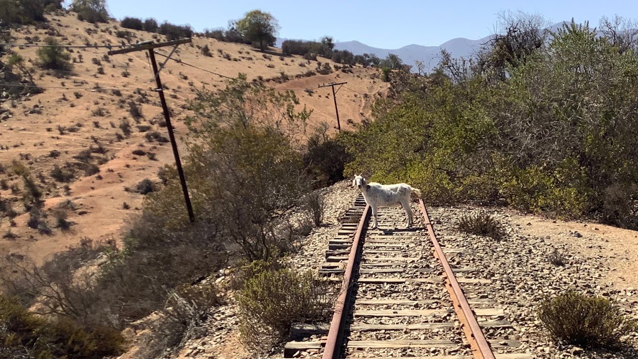 DIARIO de una Exploración Ferroviaria II
