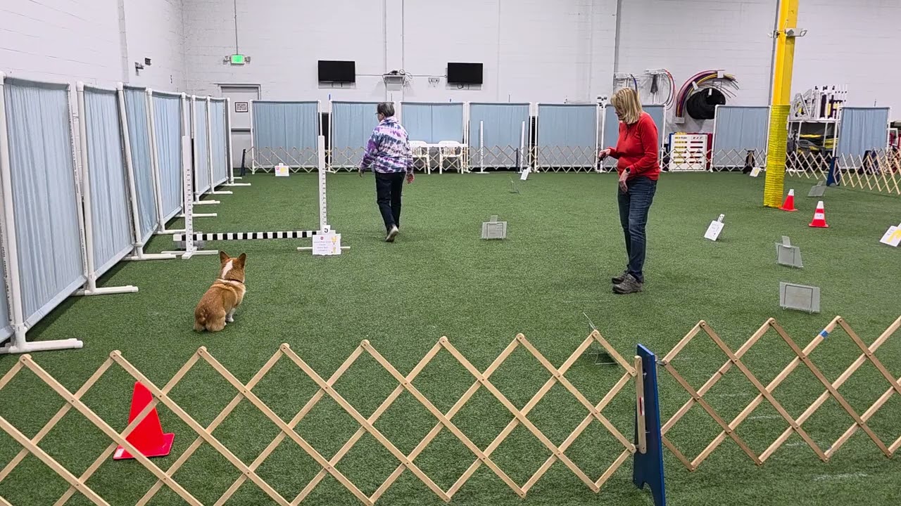 Bailey Master Rally practice ODTC 3/8/26