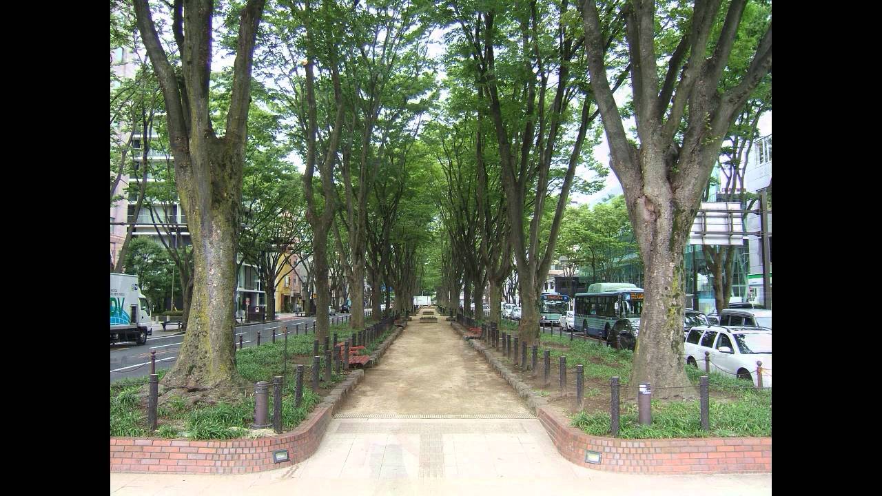 Jozenji dori