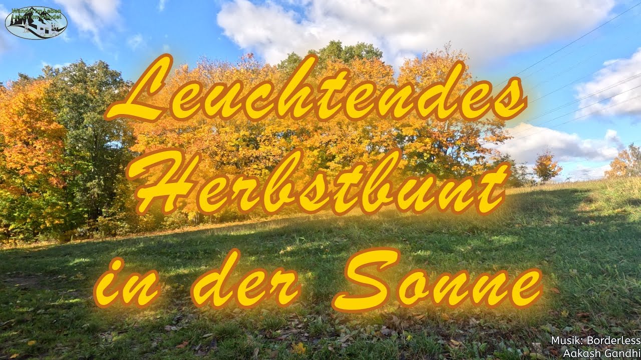 Leuchtendes Herbstbunt in der Sonne