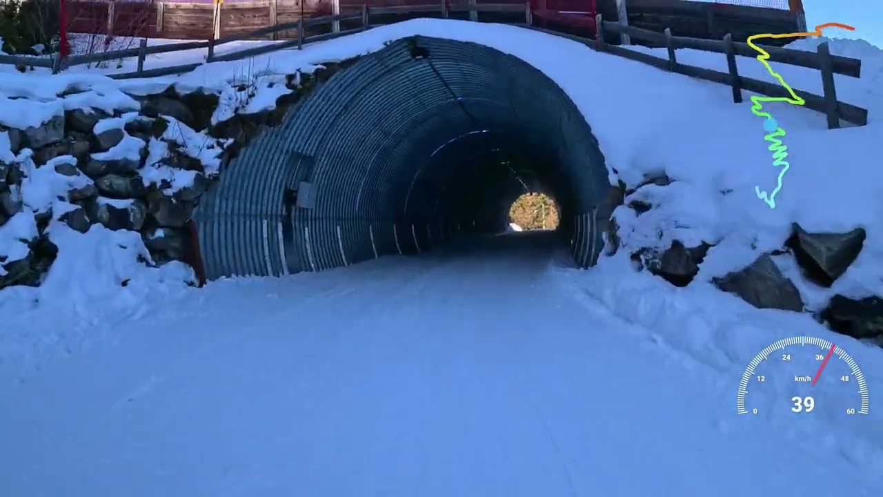 Hochwurzen Tobogganing  18 01 2026