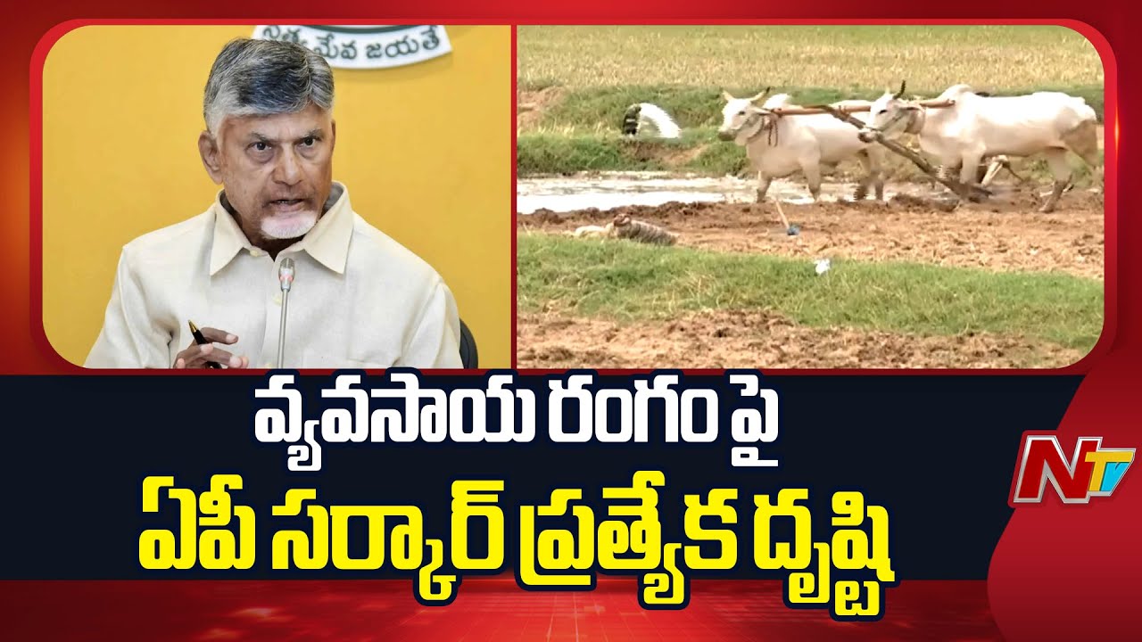 AP Govt Special Focus on AP Agriculture | CM Chandrababu | NTV Telugu