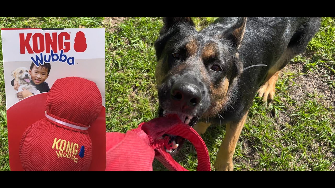 Kong Wubba toy review