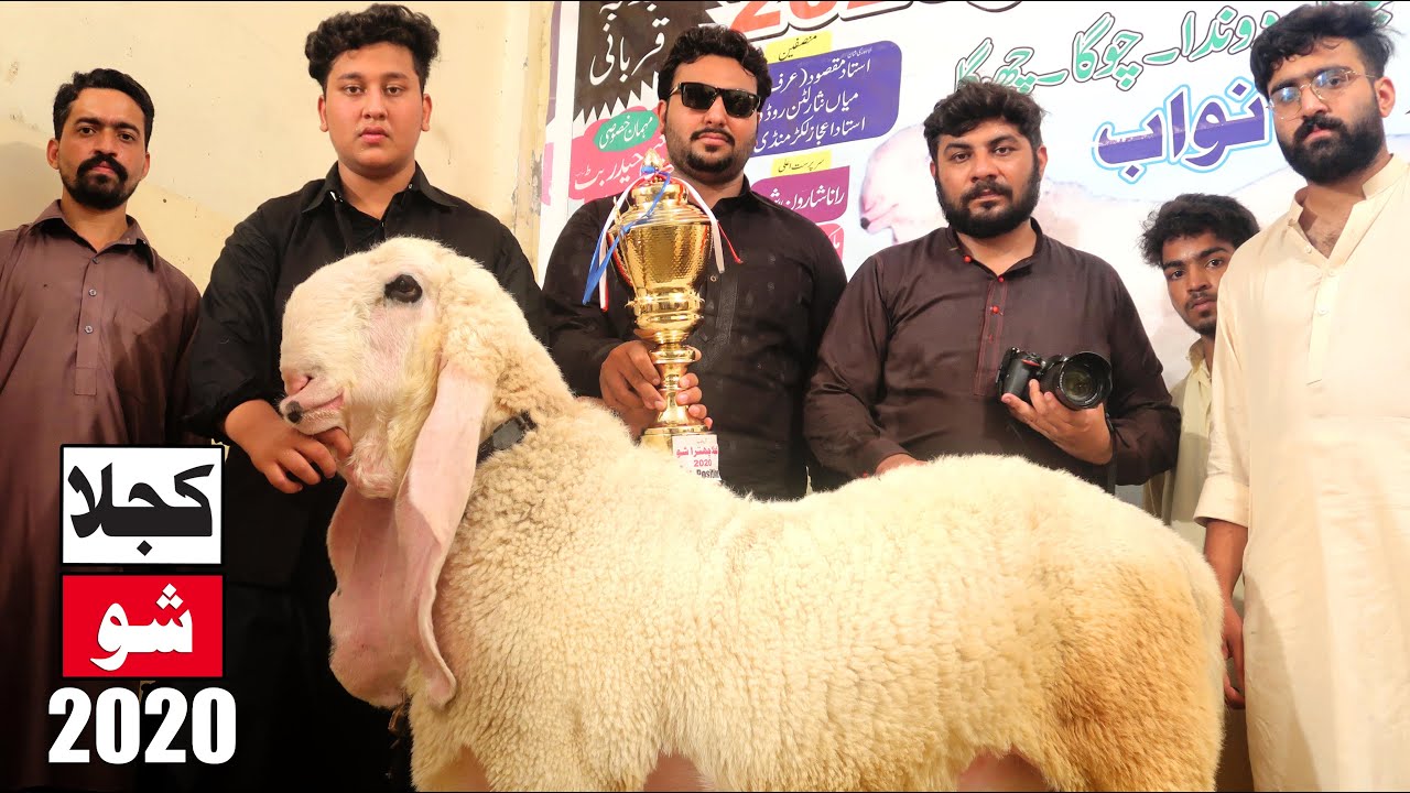 Kajla Show - Heavy Weight Kajla Show Lahore 2020