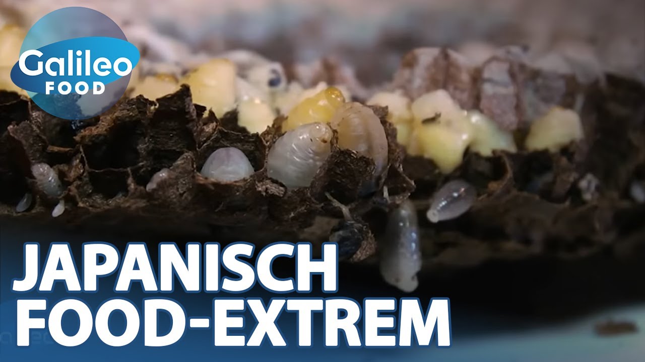 🤢Ekelhaft?! Japanische Live-Food-Extrem-Challenge! | Galileo Food