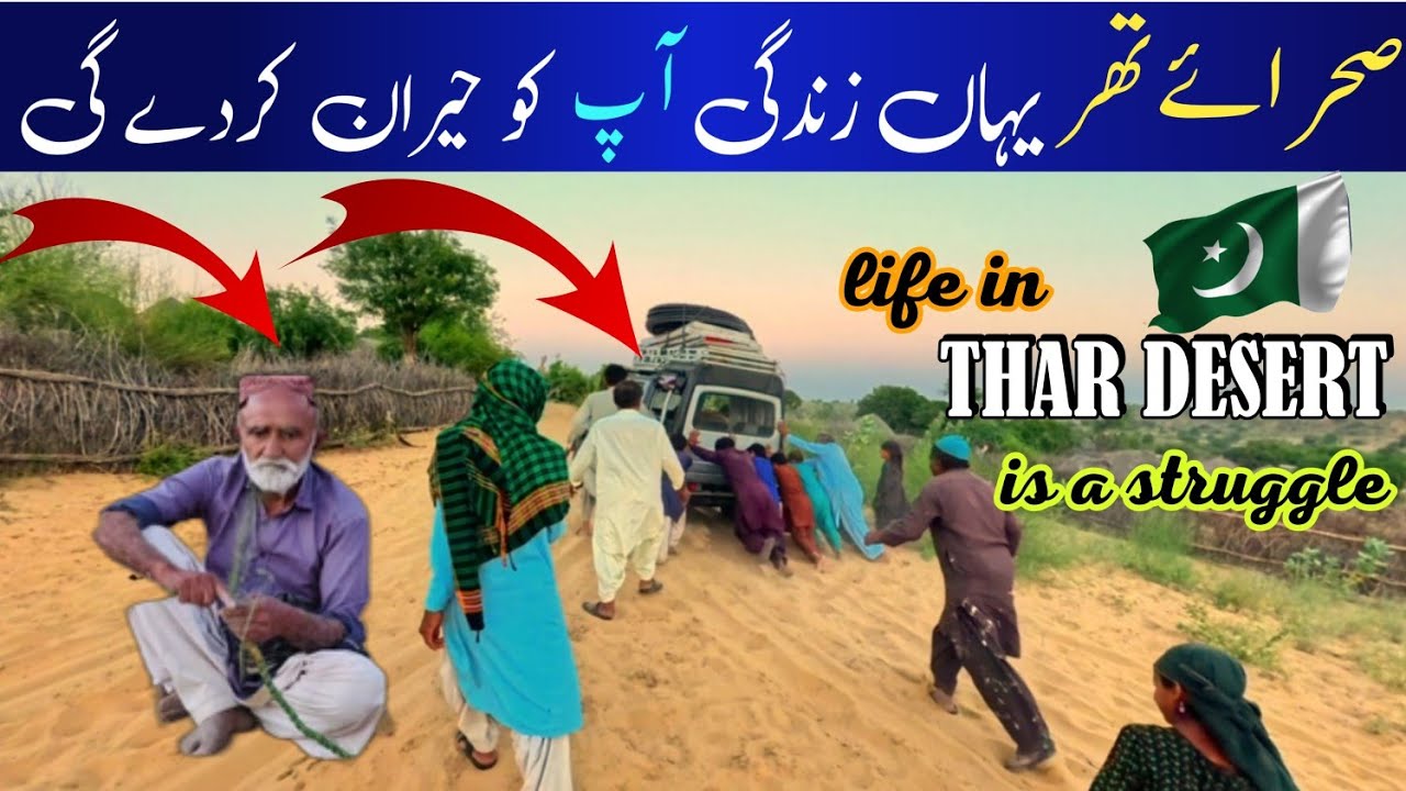 How People Survive Harsh Desert Conditions | World 10th Largest desert in Pakistan | Thar life