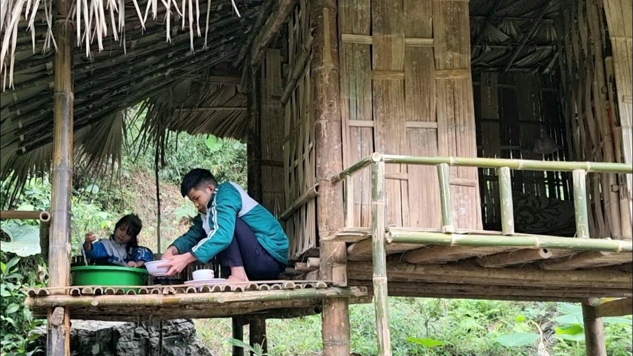 A poor boy and his sister picked eggplants to sell to save money to buy blankets and pillows