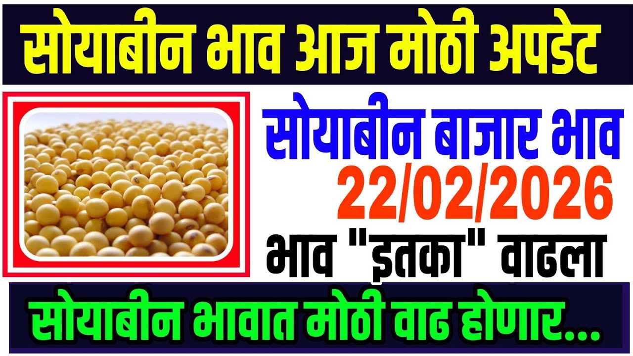सोयाबीन बाजार भाव 22/02/2026 /Soya teji Mandi report/soyabean bhazar bhav today/भावात प्रचंड तेजी..
