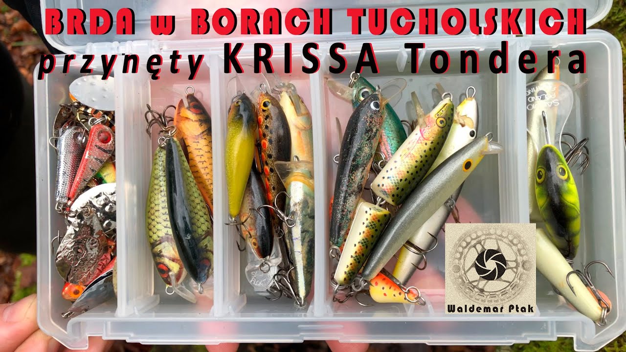 Brda w Borach Tucholskich - pstrągowe przynęty KRISSA Tondera