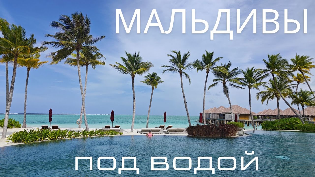 Подводный мир Мальдив. Underwater World.