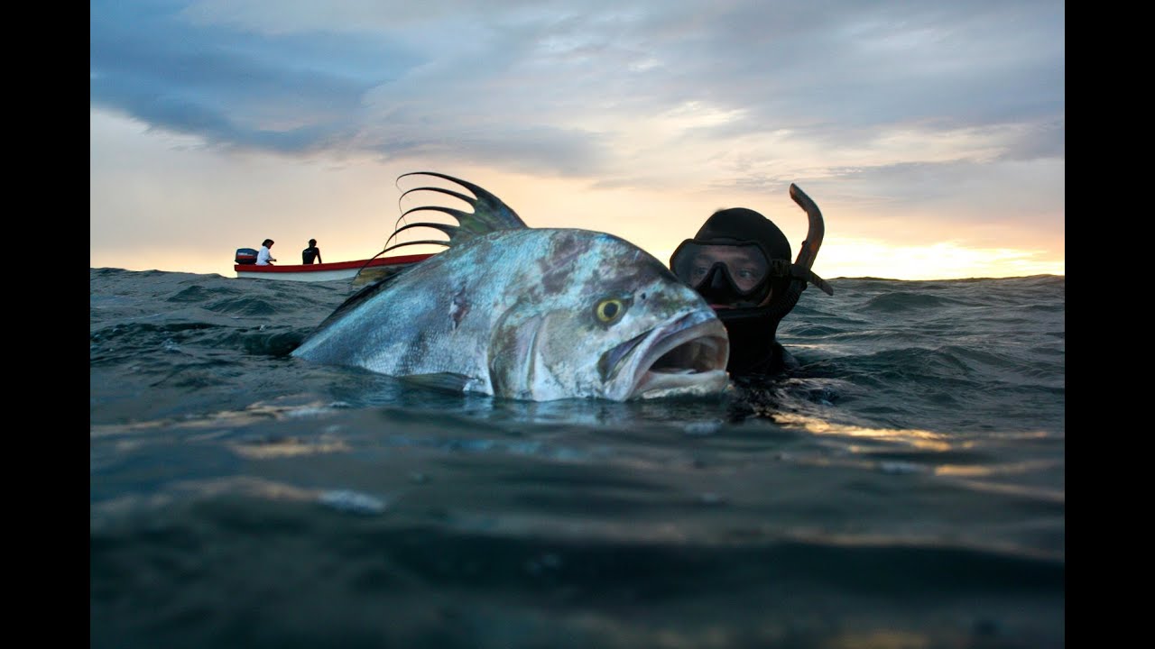 Return to Nica - Spearfishing the Reef.