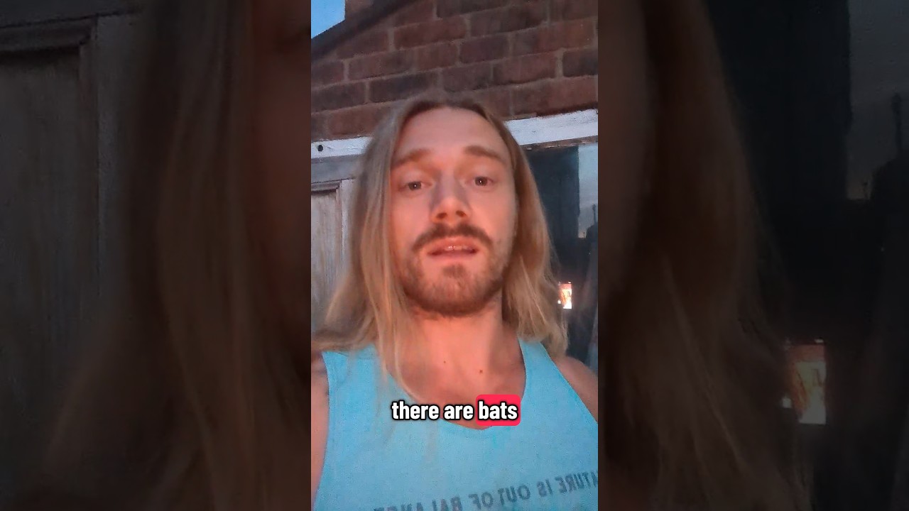 It's freaking #bats #nature #wildlife #animals #ecology