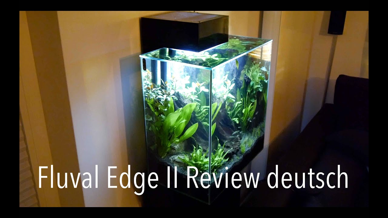 Fluval Edge II Review Deutsch meine Erfahrungen