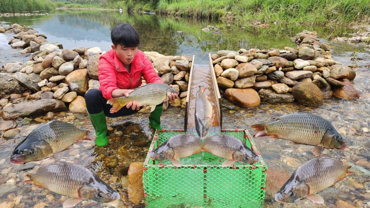 How to trap fish with a wooden slide. And catch a lot of big fish. And sell them