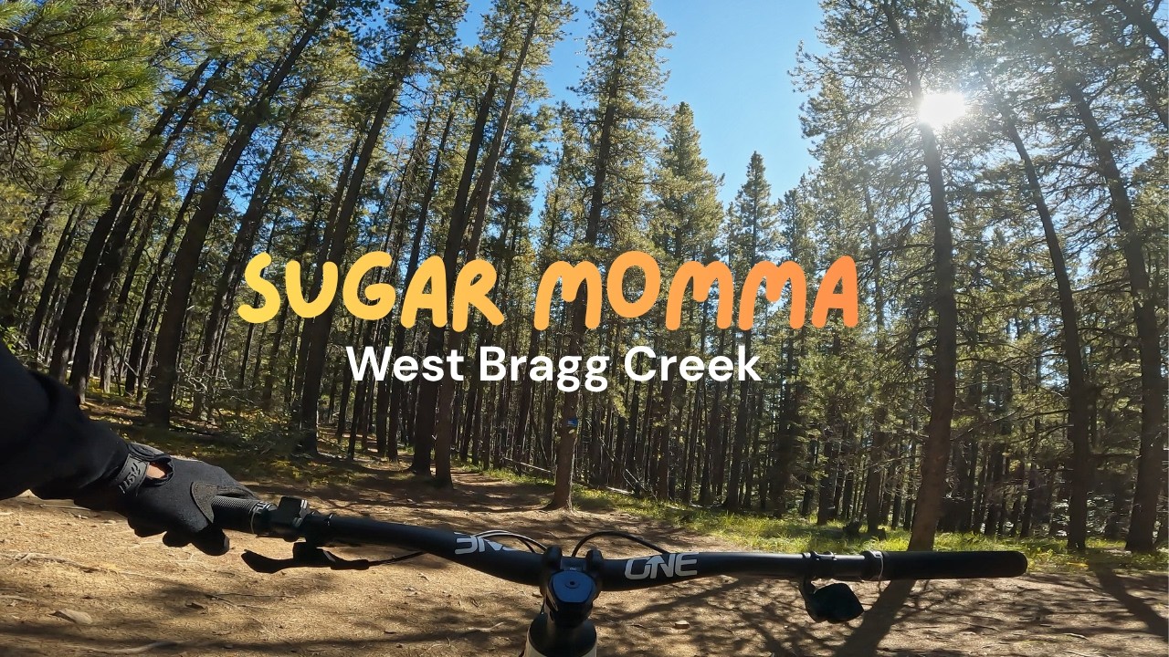 Sugar Mama | West Bragg Creek, Alberta