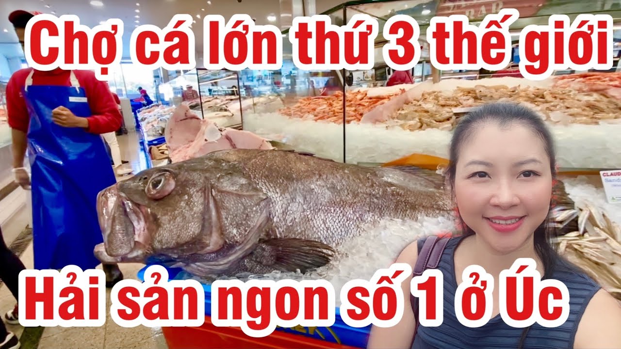 CHỢ CÁ LỚN NHẤT NƯỚC ÚC | SYDNEY FISH MARKET | DU LỊCH ÚC | CUỘC SỐNG ÚC | CHAU RICHES