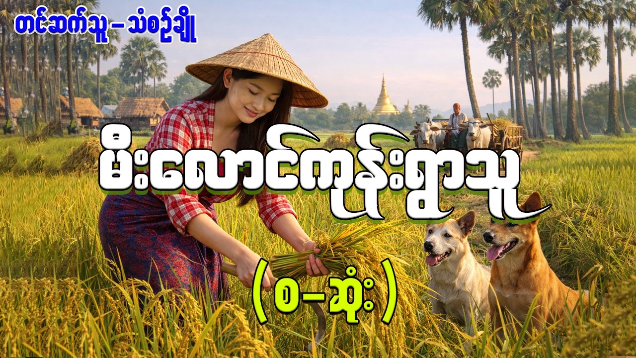 မီးလောင်ကုန်းရွာသူ(စ-ဆုံး)#ကိုပိုက်#သံစဉ်ချို