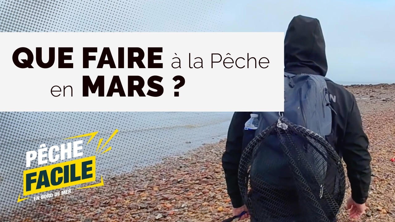 QUE PÊCHER EN MARS ? 🎣 Reprise du Bar et techniques du bord