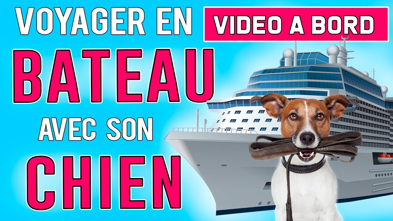 PRENDRE LE BATEAU AVEC SON CHIEN