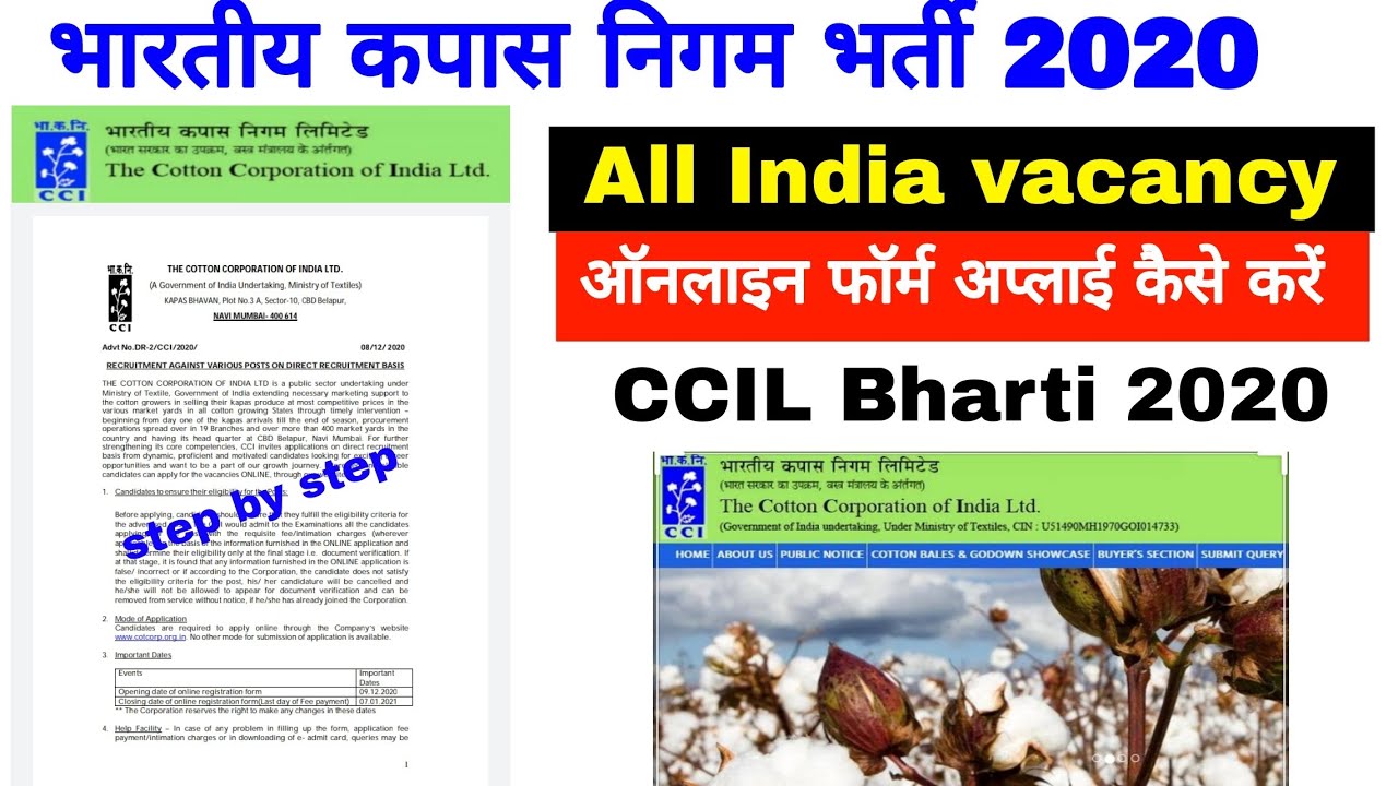 How to Fillup CCI Assistant Online Form 2020