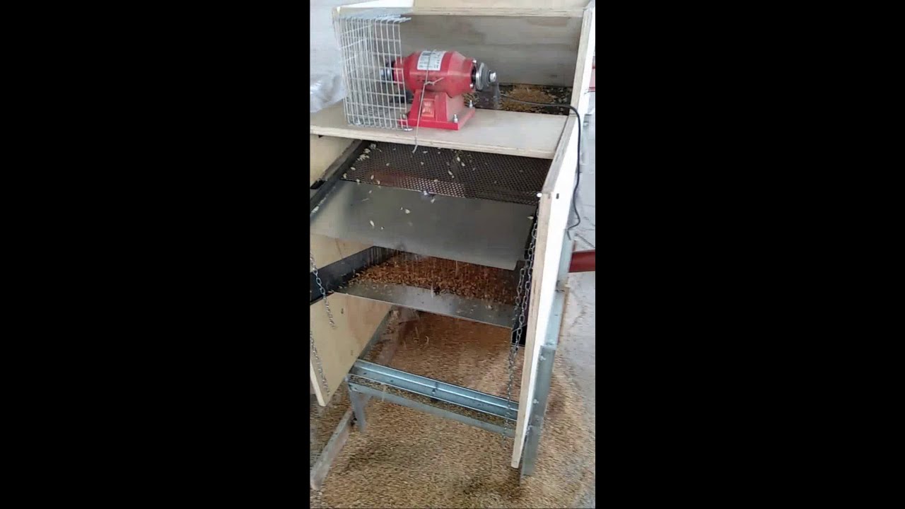Cernitura grano (fai da te)
