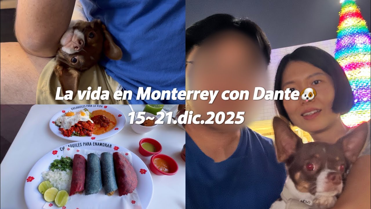🇲🇽 | 25.12.15~21 멕시코 몬테레이 생활 (📍우리식당 | 어항 대청소🧽🪥,  매트리스 교환, 첫 가족사진🤳🏻)