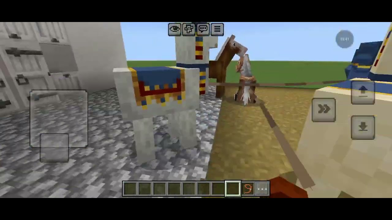 Comprei cavalos novos