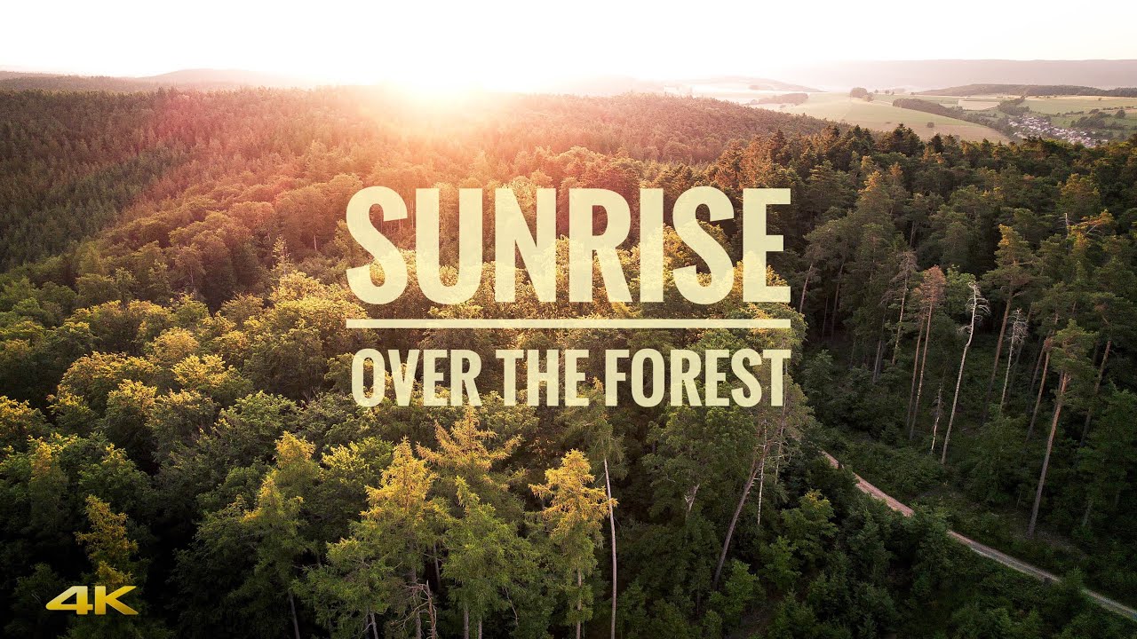 Sonnenaufgang im Odenwald - Nature Ambience