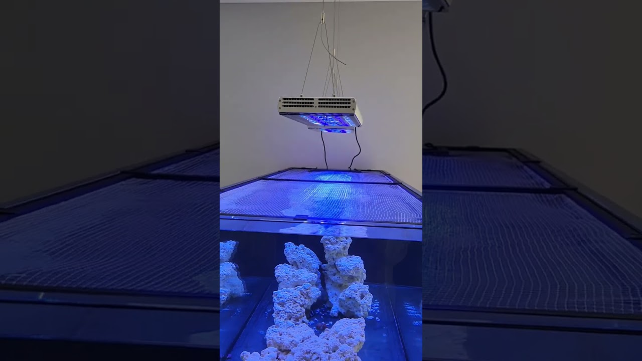 Orphek Natura iCon Reef LED Lights Review