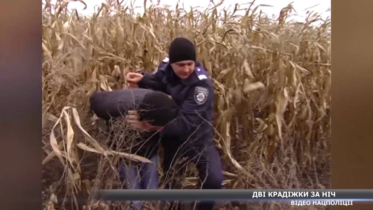 Дві крадіжки за ніч