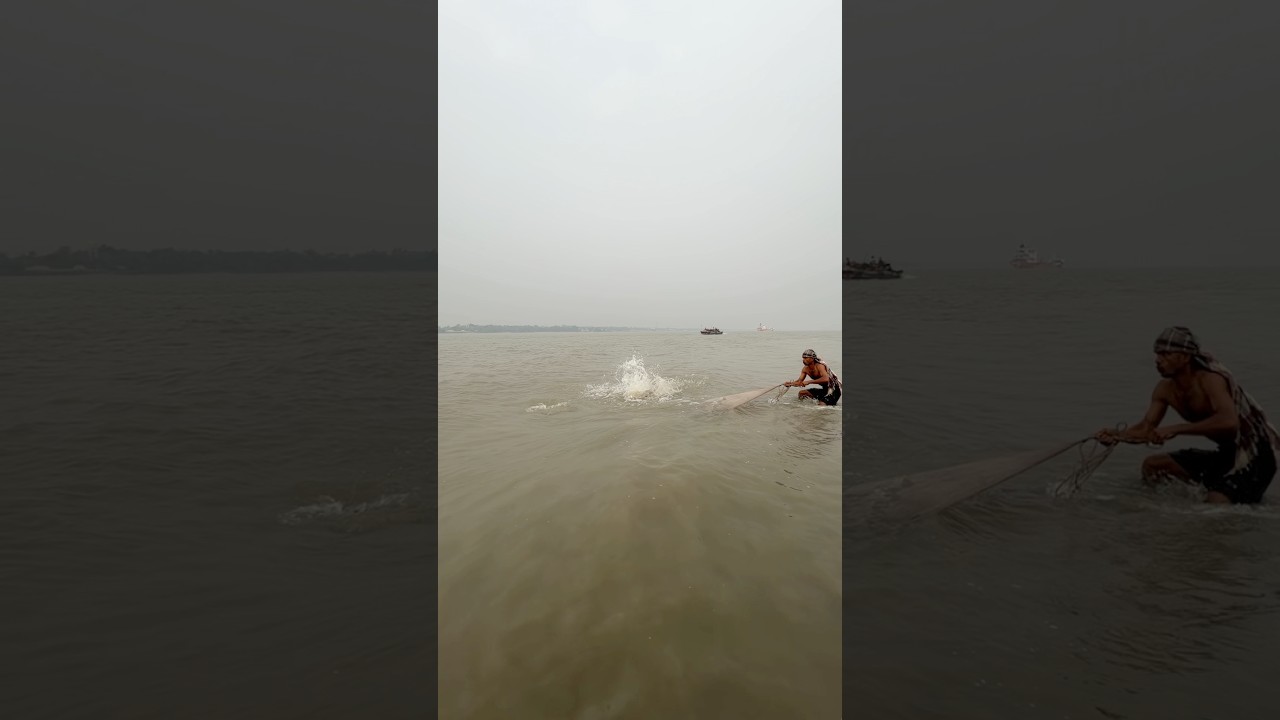 Amazing net catch river monster fish #shorts #fishing #fishingvideo #fishinglife #funny #bigfish