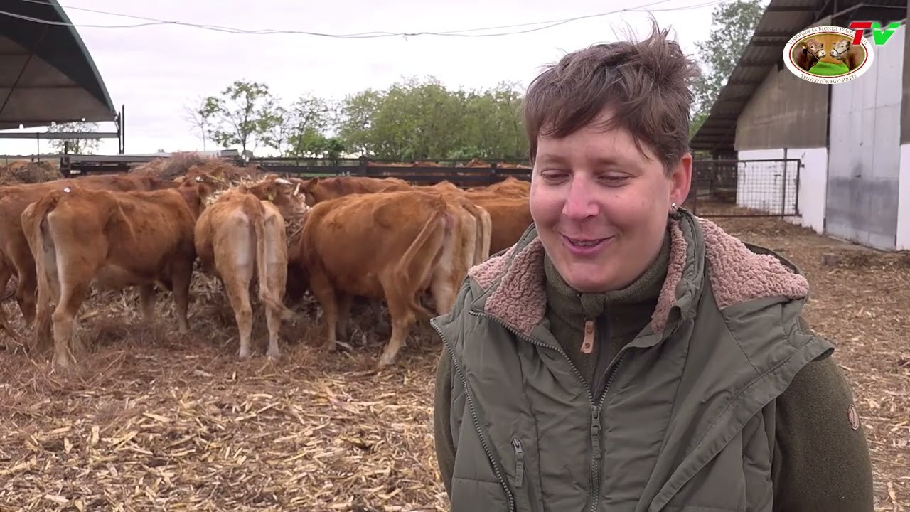 08./2025. Pesztránszki-Farm a TÉLEN-NYÁRON LIMOUSIN műsorban