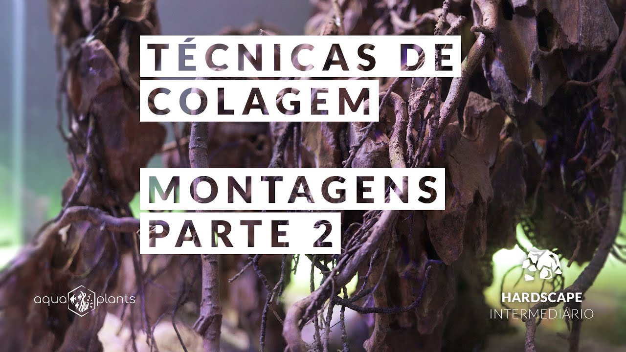 Técnicas de colagem em aquários plantados - Montagens Parte 2 - Hardscape - Intermediário