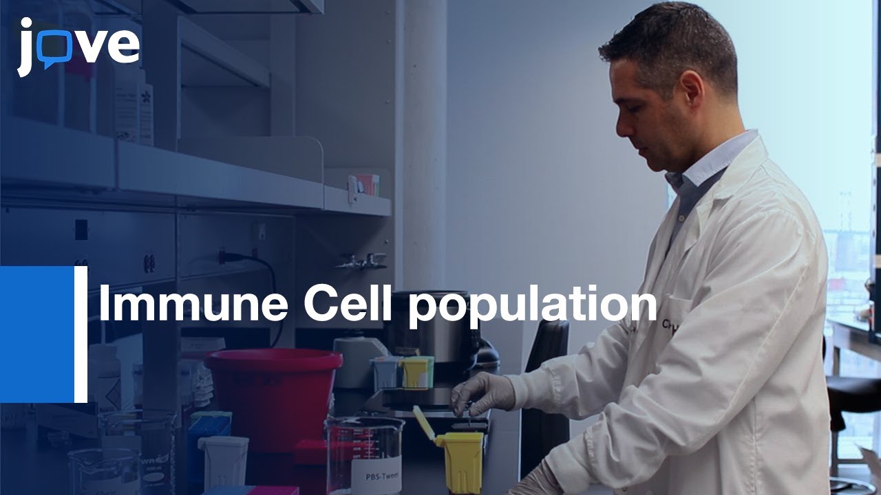 Immune Cell population visualization, quantification and mapping | Protocol Preview