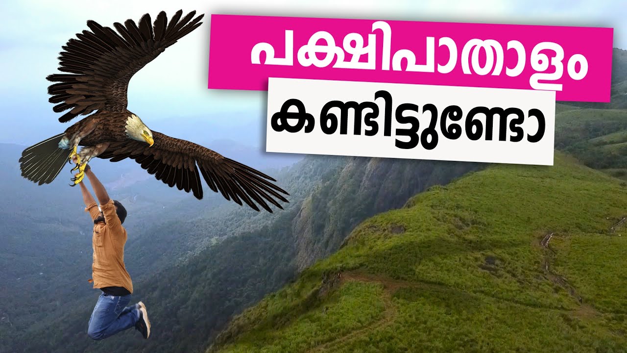 Vagamon Best Adventure Tourist Place pakshipathalam