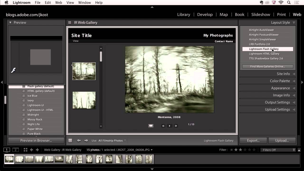 Lightroom 5: Share Images Online