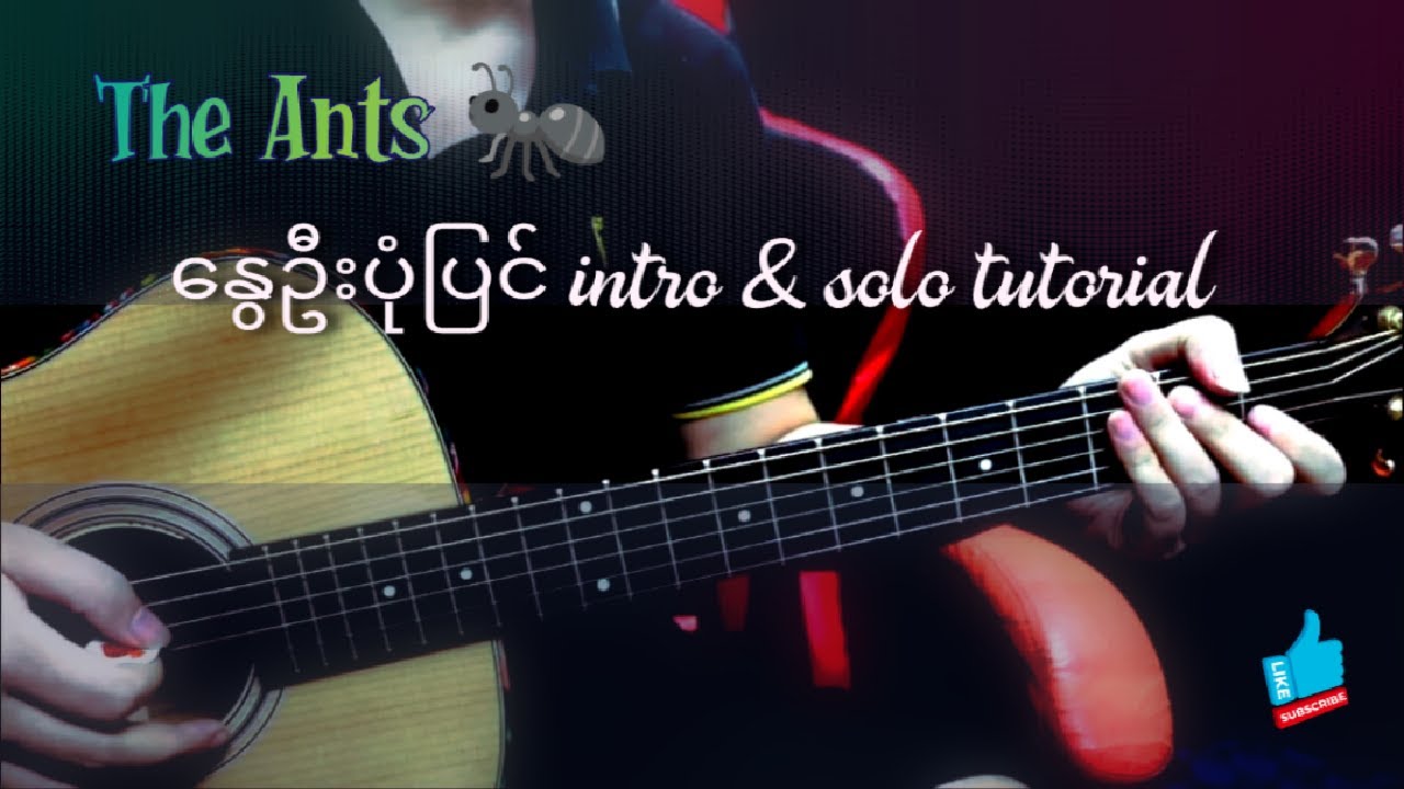 The Ant - နွေဦးပုံပြင် Intro , Solo Tutorial