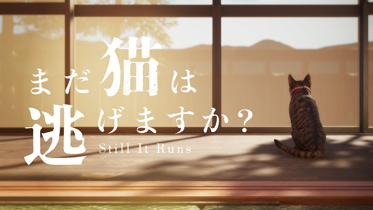【まだ猫は逃げますか？】 ※猫はひどい目にあいません