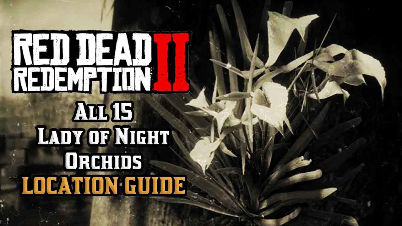 All 15 Lady of the Night Orchids  - Location Guide | Red Dead Redemption 2