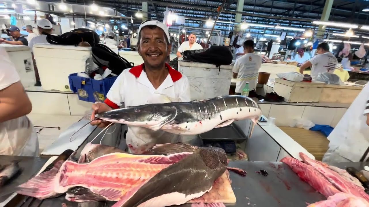 AS DELÍCIAS DA MAIOR FEIRA DE PEIXES FRESCOS - MANAUS-AM #amazonas #manausamazonas #amazon #fishing 