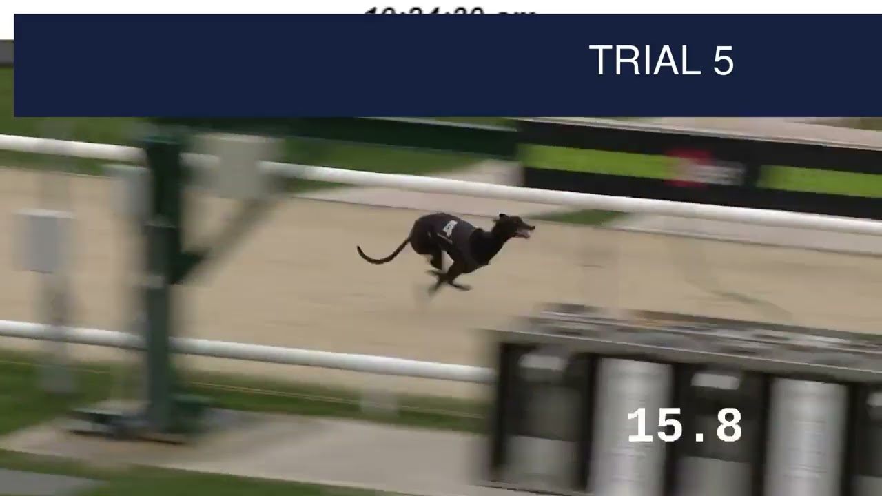 Dunstall Park Trials on 16th March 2026