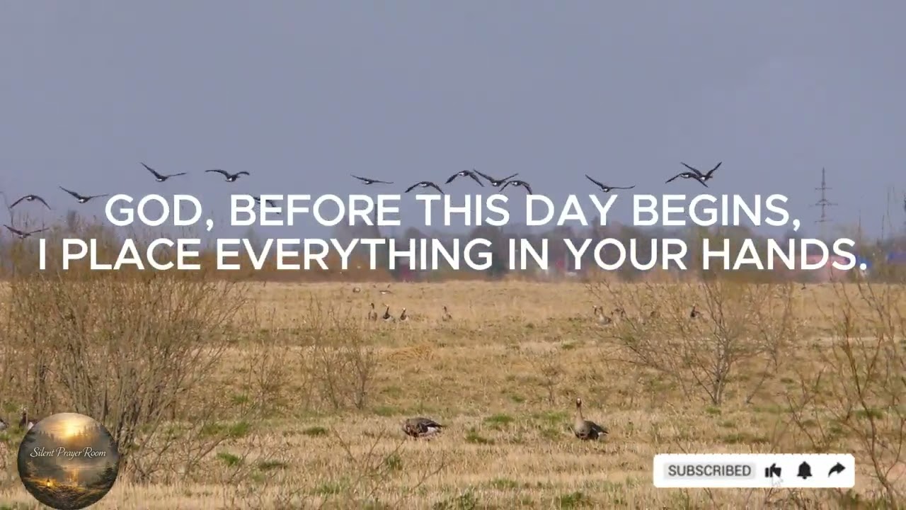 Morning Prayer for a Miracle #MorningPrayer #MiraclePrayer #Faith #GodIsGood #ChristianShorts