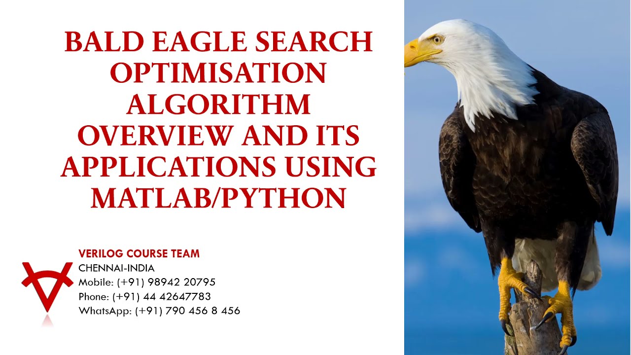 BALD EAGLE SEARCH OPTIMISATION ALGORITHM OVERVIEW AND ITS APPLICATIONS USING MATLAB-PYTHON