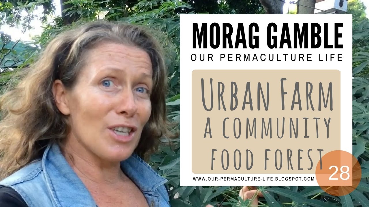 Northey Street City Farm: Community Permaculture in Action with Morag Gamble , Our Permaculture Life